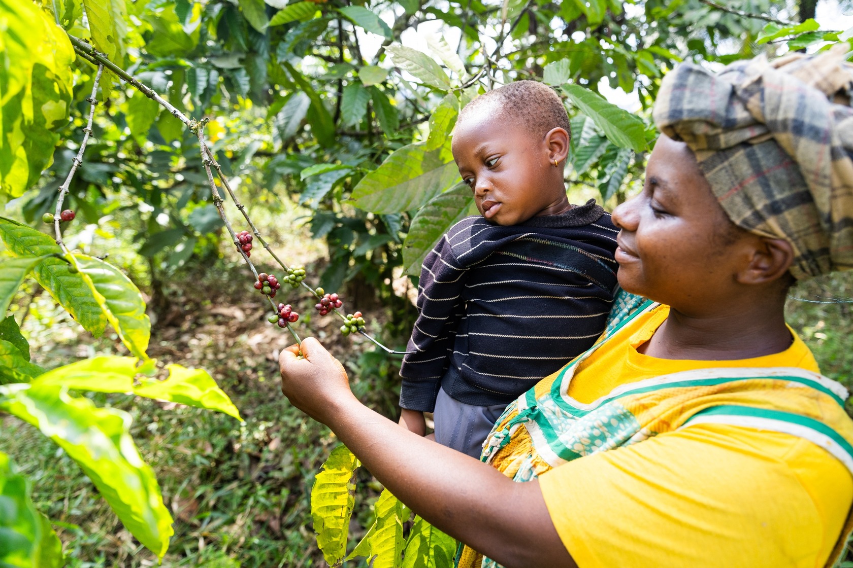 Ethik Kaffee fair-trade Partner Kaffeeherstellung Coffienna