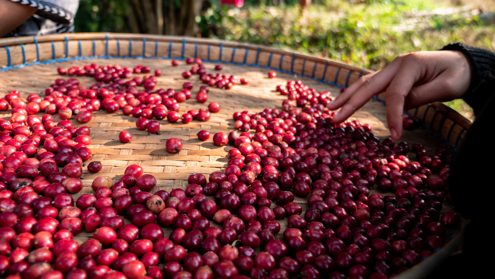 Genussmittel Kaffee Bohnenqualitaet Roesterei Coffienna