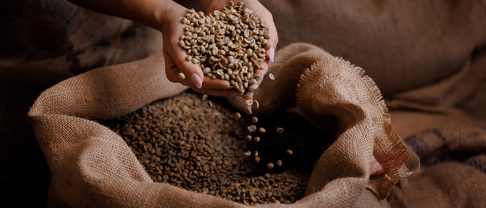 Lagerung Rohkaffee coffienna Lagerung Rohkaffee coffienna
