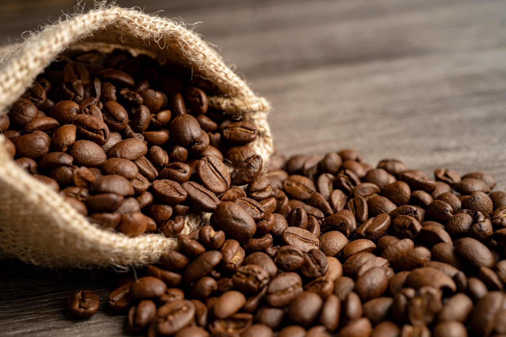 Kaffee Handwerk Team Shop Coffienna