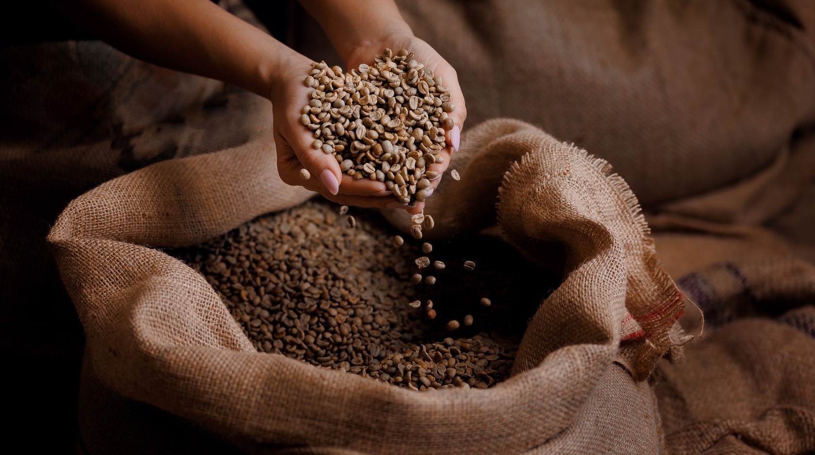 Kaffeetrocknung Kaffee Bohnenqualitaet Roesterei Coffienna