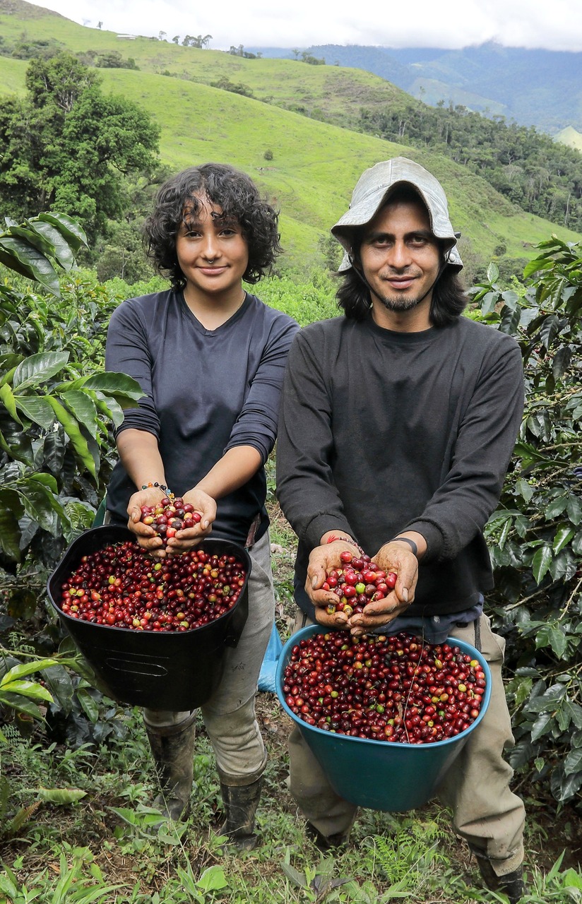 Coffee,Pickers,In,The,Mountains,Of,Colombia